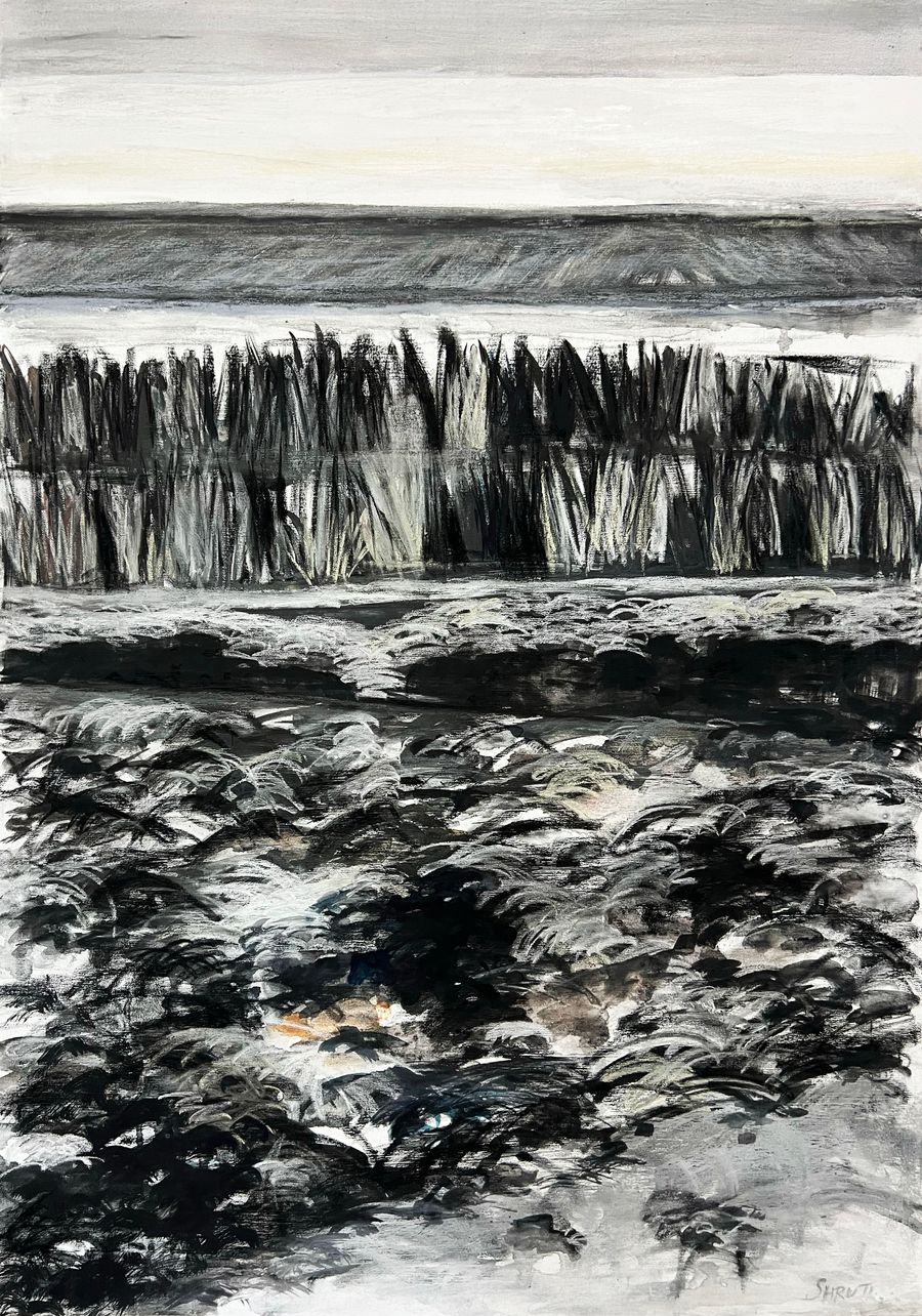 Ink & Drawings